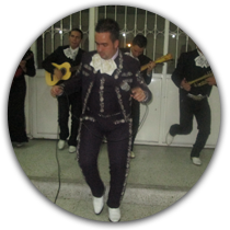 Ver Show de Zapateo